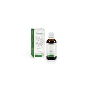 Györgytea Orbáncfű olajos kivonat 50ml 