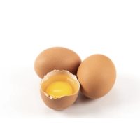 Tojás, tojáshelyettesítők